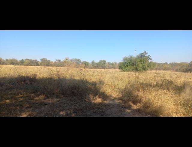 FARM FOR SALE IN TZANEEN RURAL